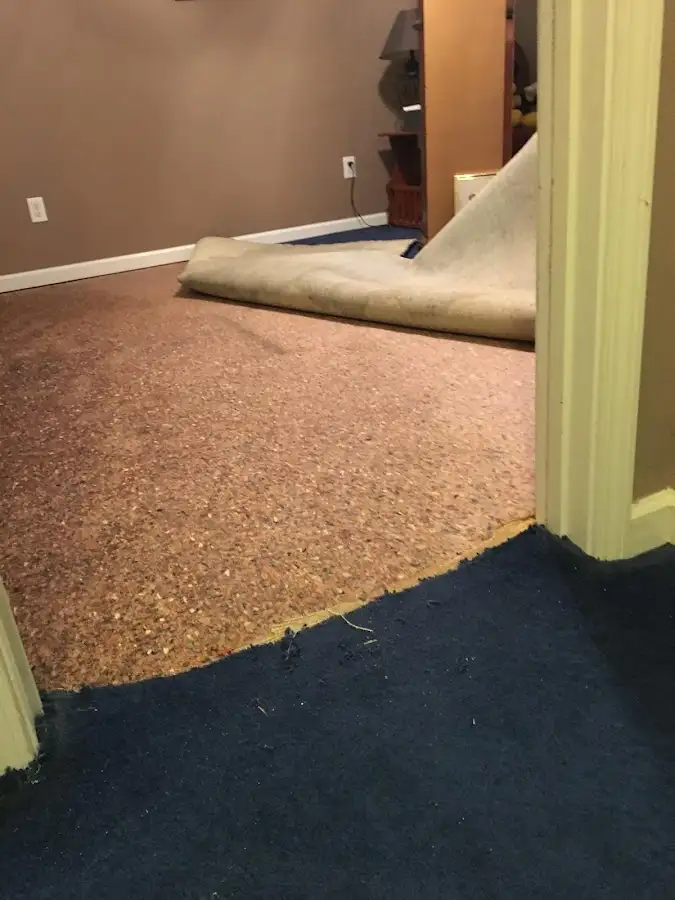 Carpet pad removal revealing water damage during Drying & Dehumidification in Cumru